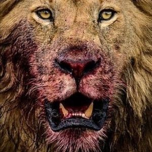 Meet your Posher, Corey